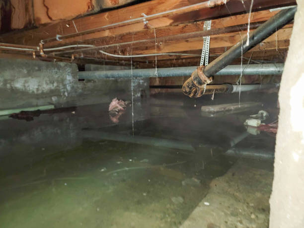 Varnville, SC Water damage restoration Company